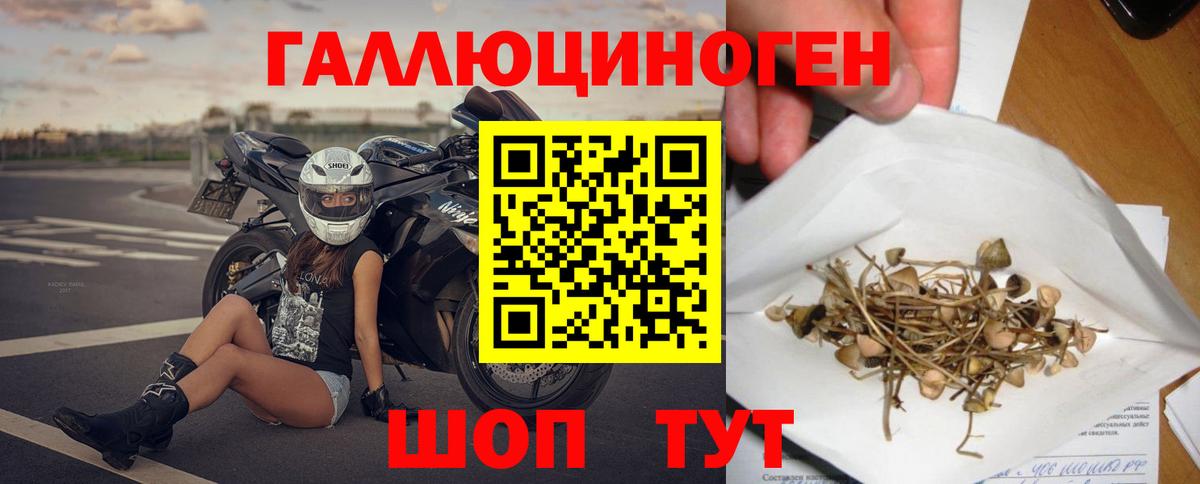 Псилоцибиновые грибы Psilocybine cubensis  Галлюциногенные грибы MAGIC MUSHROOMS  купить наркоту  Вход с VPN  Владимир 