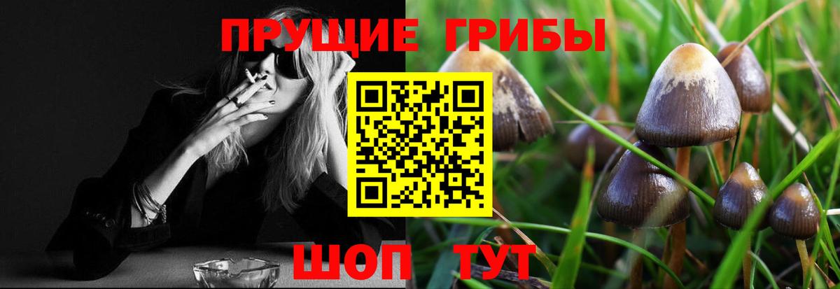 Псилоцибиновые грибы GOLDEN TEACHER Владимир